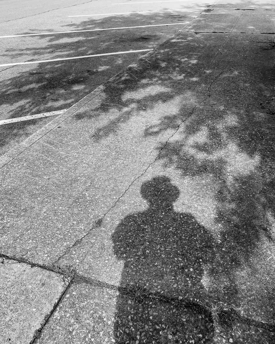 shadow self with tree shadow