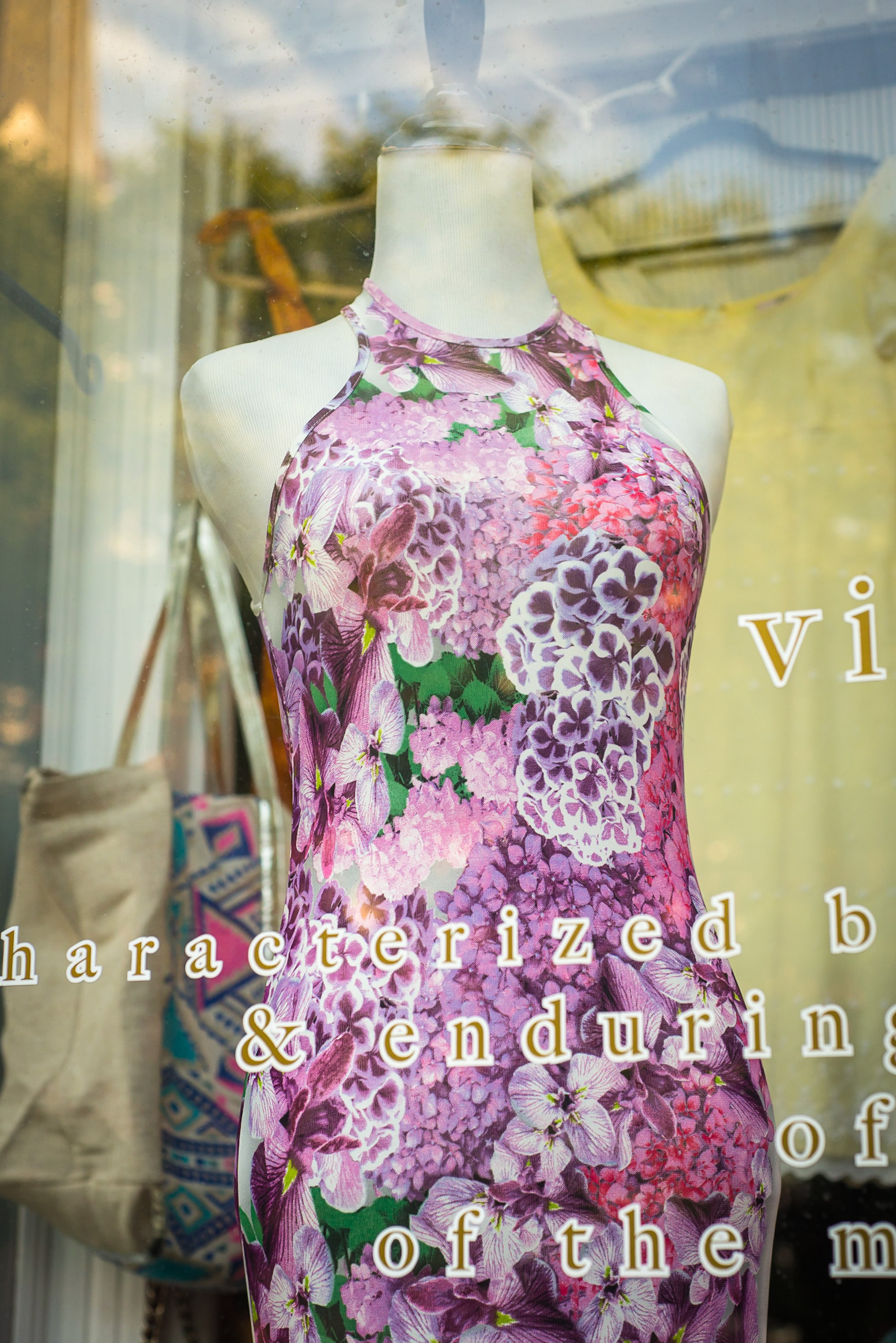Mannequin in a pink floral dress in a shop window. Lettering naming the shop and describing it’s contents runs across the bottom.